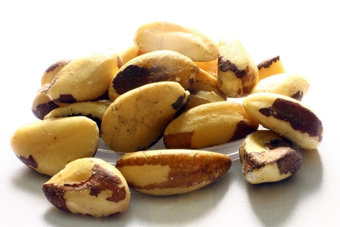 The Impact of Currency Fluctuations on Brazil Nuts Trade and Pricing