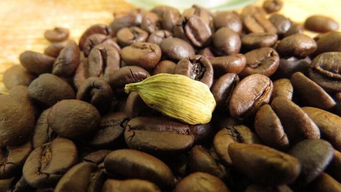 The Impact of Currency Fluctuations on Cardamom Trade and Pricing