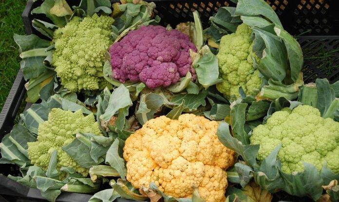 The Impact of Currency Fluctuations on Cauliflower Trade & Pricing