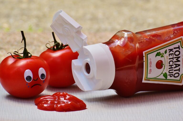 The Impact of Inflation and Rising Tomato Prices on the Ketchup Market The Impact of Inflation and Rising Tomato Prices on the Ketchup Market