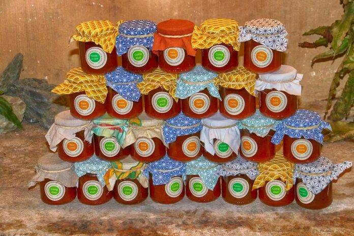 The Leading Vitamin Candy Brands Shaping the Global Market