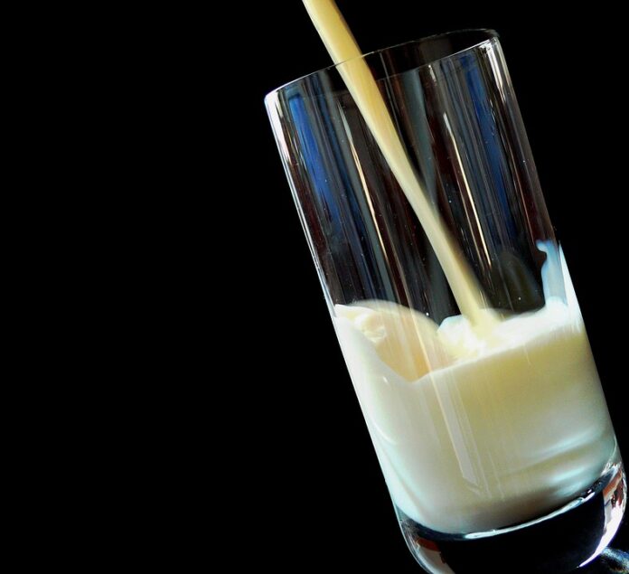 The Most Unique and High End Macadamia Milk Products Around the World