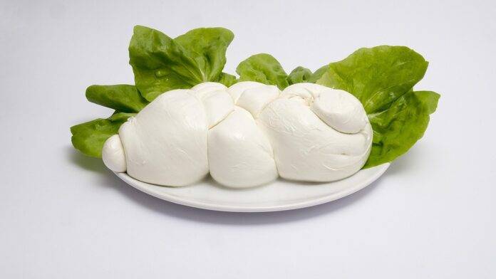 The Nutritional Benefits of Buffalo Milk Compared to Cow and Goat Milk