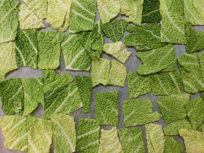 The Rise of Gourmet and Artisanal Vegetable Crisps and Chips in the Luxury Snack Industry.