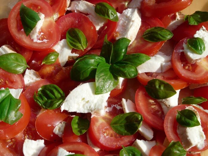 The Rise of Plant Based Mozzarella Alternatives Worldwide