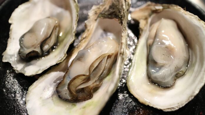 The Rise of Private Label Oyster Products Supermarket vs. Brand Competition