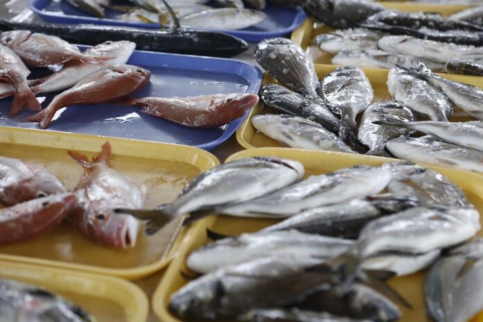 The Rise of Private Label Seabass Products Supermarket vs Brand Competition