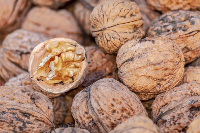 The Rise of Private Label Walnuts Products Supermarket vs Brand Competition