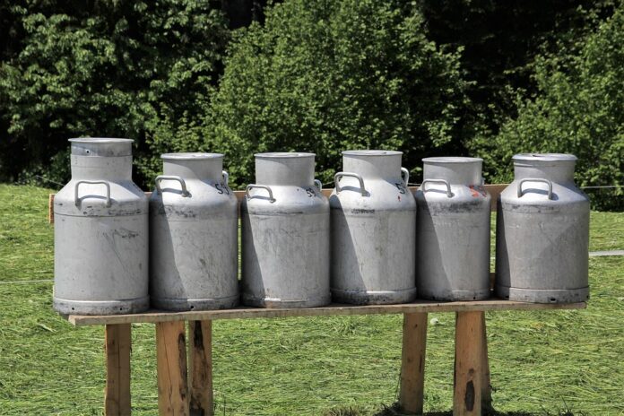The Role of Canned Dairy in Emergency Food Supplies and Long Term Storage