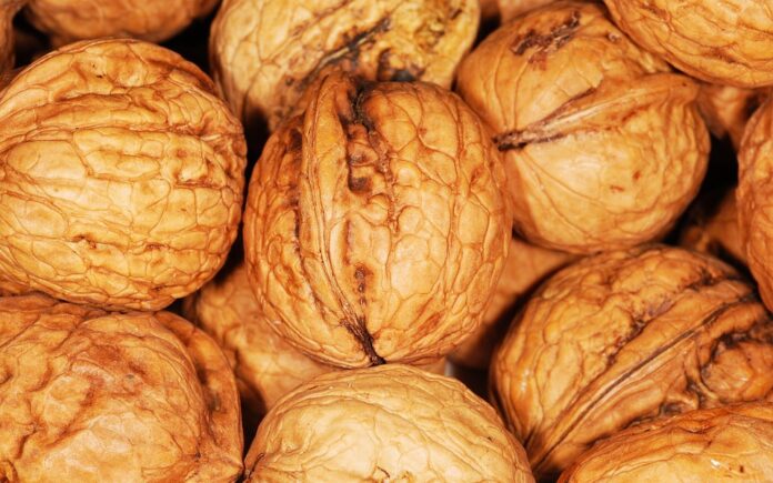 The Role of Regulations and Certifications in the Walnuts Industry Impact on Trade and Pricing