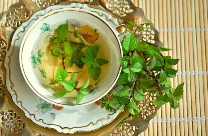 The Role of Sustainability and Ethical Sourcing in the Peppermint Industry