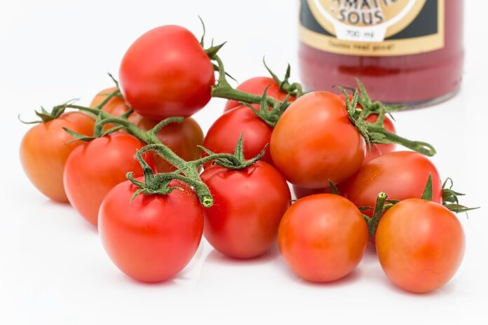 The Role of Tomato Farming in the Tomato Sauce Supply Chain Challenges and Innovations