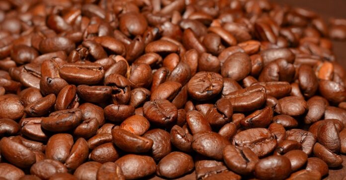 The World’s Top Bean Producers Who Leads in Yield and Innovation