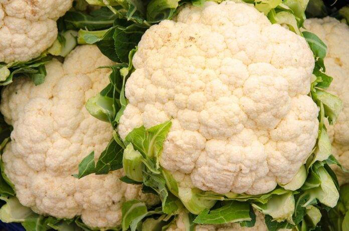 The World’s Top Cauliflower Producers Who Leads in Yield and Innovation