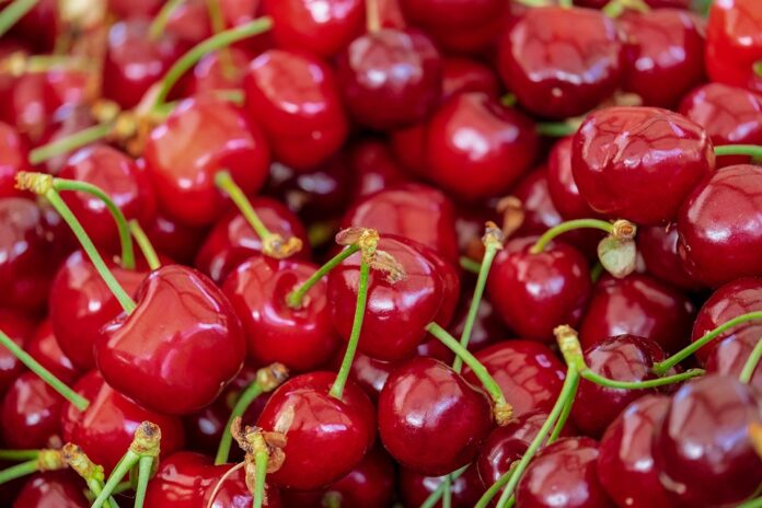 The World’s Top Cherry Producers Who Leads in Yield and Innovation