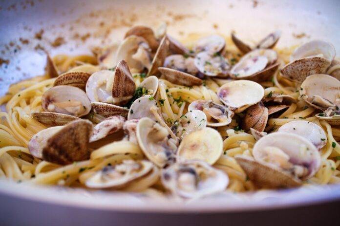 The World’s Top Clam Producers Who Leads in Yield and Innovation