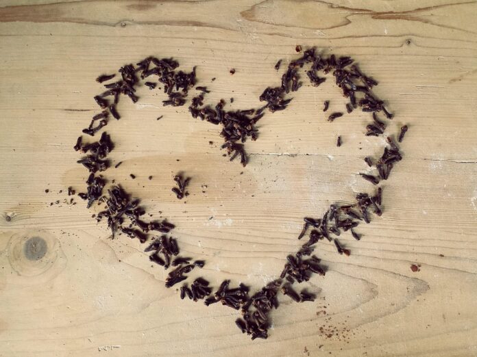 The World’s Top Cloves Producers Who Leads in Yield and Innovation