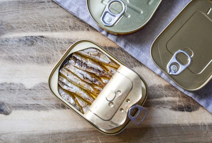 The World’s Top Sardine Producers Who Leads in Yield and Innovation