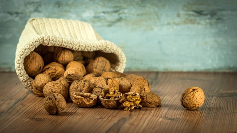The World’s Top Walnuts Producers Who Leads in Yield and Innovation The World’s Top Walnuts Producers Who Leads in Yield and Innovation