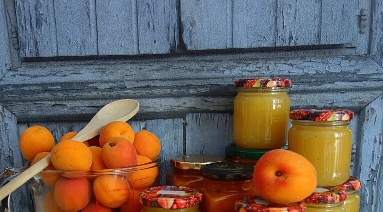 The future of canning is durable safe and sustainability focused The future of canning is durable safe and sustainability focused