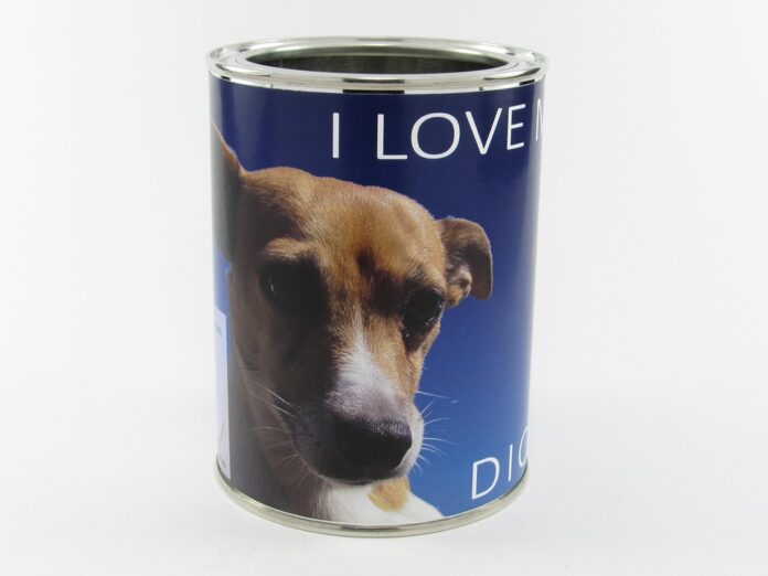 The future of kibble lies in personalization sustainability and added functionality