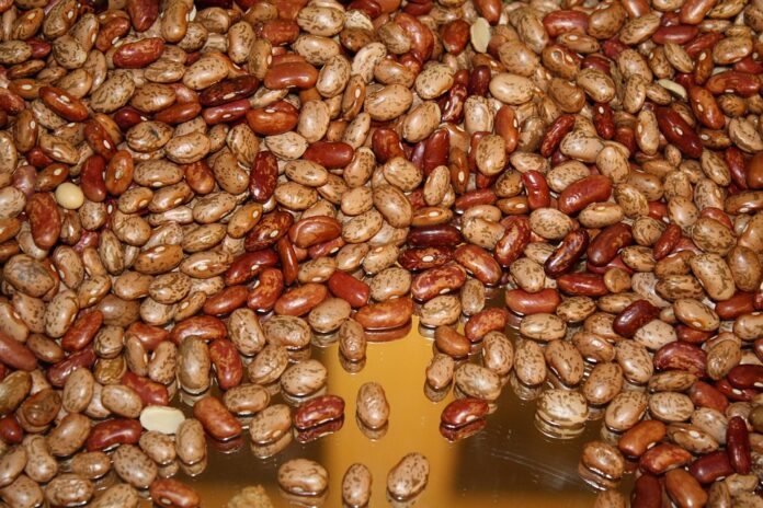 The sustainability advantage of legumes in clean label drink formulations