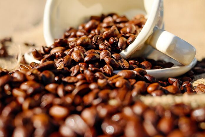 Top Bean Exporting and Importing Countries Who Controls the Market