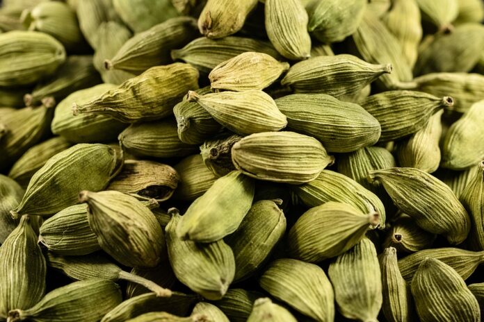 Top Cardamom Exporting and Importing Countries Who Controls the Market