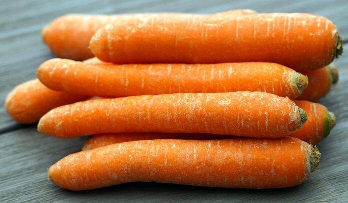 Top Carrot Exporting and Importing Countries Who Controls the Market