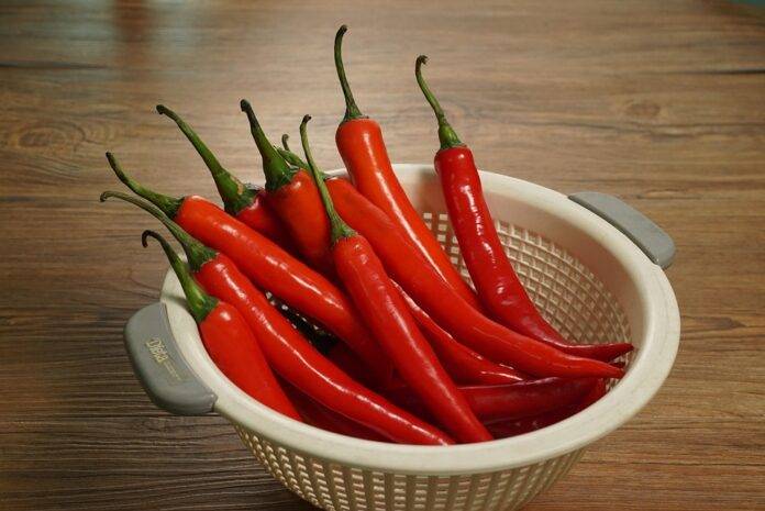 Top Chili Exporting and Importing Countries Who Controls the Market