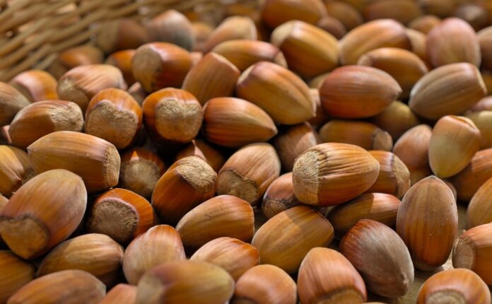 Top Hazelnuts Exporting and Importing Countries Who Controls the Market