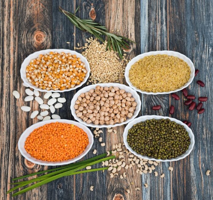 Top Lentil Exporting and Importing Countries Who Controls the Market