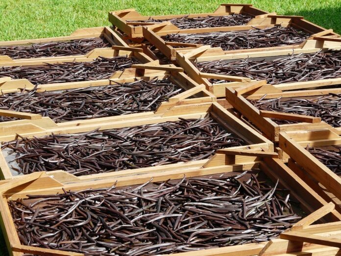 Vanilla and Inflation Why Prices Are Rising and What It Means for Consumers