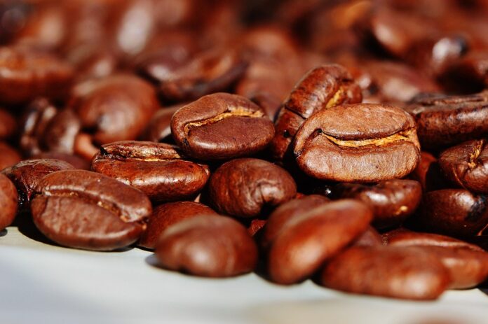 Waste Reduction in Bean Processing Turning Byproducts Into Profits