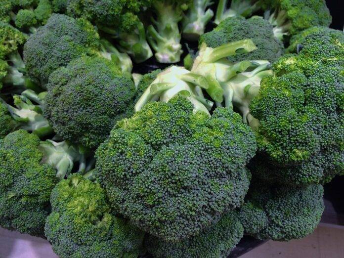 Waste Reduction in Broccoli Processing Turning Byproducts Into Profits