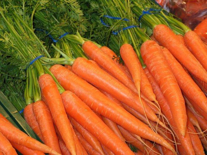 Waste Reduction in Carrot Processing Turning Byproducts Into Profits