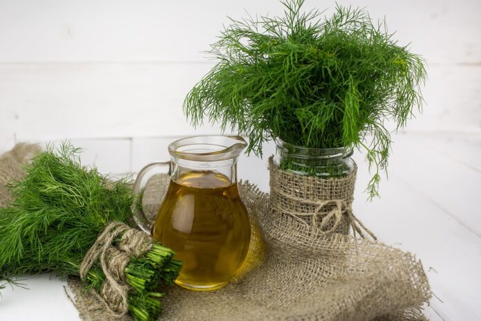 Waste Reduction in Dill Processing Turning Byproducts Into Profits