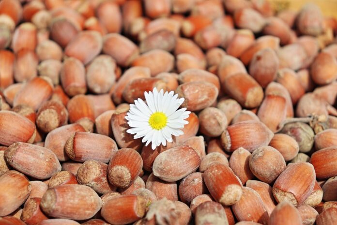 Waste Reduction in Hazelnuts Processing Turning Byproducts Into Profits