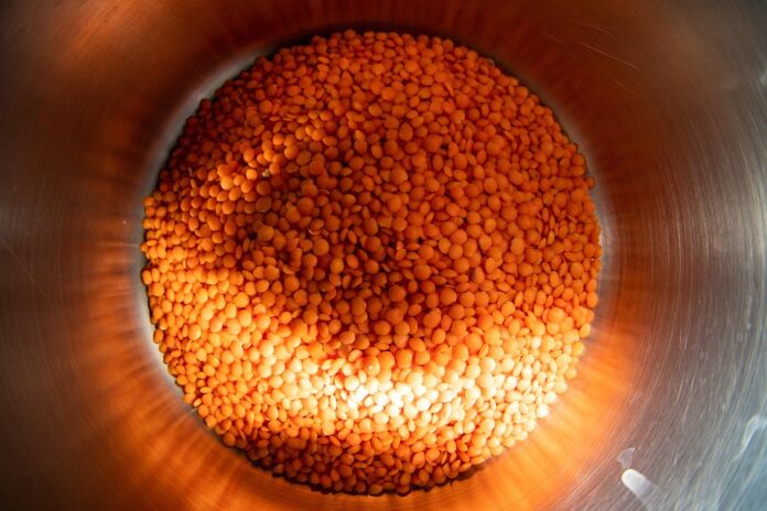 Waste Reduction in Lentil Processing Turning Byproducts Into Profits