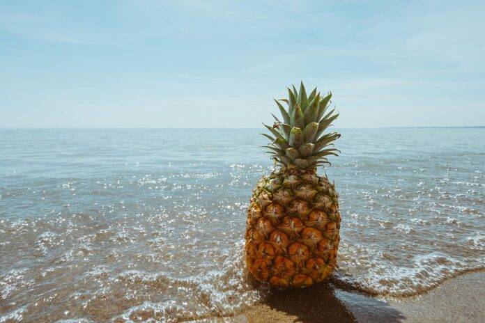 Waste Reduction in Pineapple Processing Turning Byproducts Into Profits