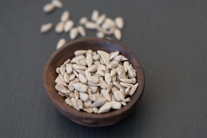 Waste Reduction in Sunflower Seeds Processing Turning Byproducts Into Profits