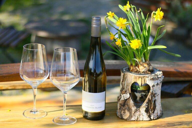 Why Chardonnay and Pinot Noir dominate in Sonoma’s coastal zones Why Chardonnay and Pinot Noir dominate in Sonoma’s coastal zones