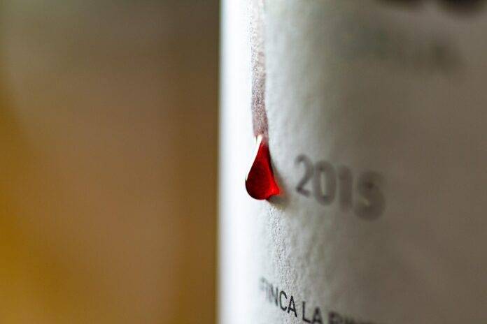 Why Malbec has become Argentina’s flagship red wine grape