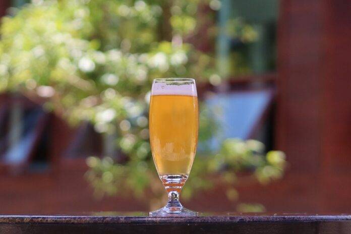 Why aluminum cans dominate the modern craft beer packaging scene