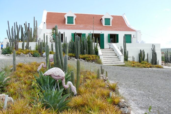 Why craft producers are reviving curaçao with natural ingredients