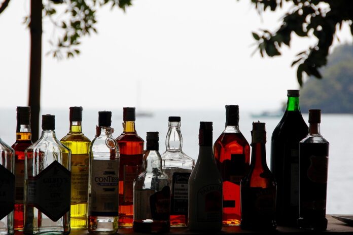 Why fruit brandy appeals to both connoisseurs and curious newcomers