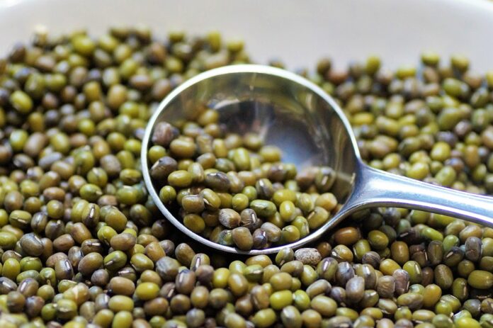 Why legumes are favored for their complete amino acid profiles in drinks