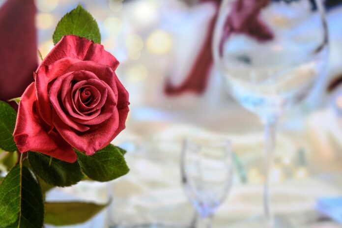 Why limited edition rosé releases drive seasonal excitement and scarcity