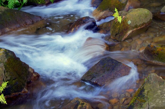 Why natural spring water is the gold standard in premium beverages