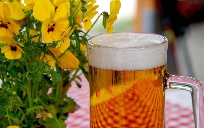 Why secondary fermentation supports carbonation and flavor evolution